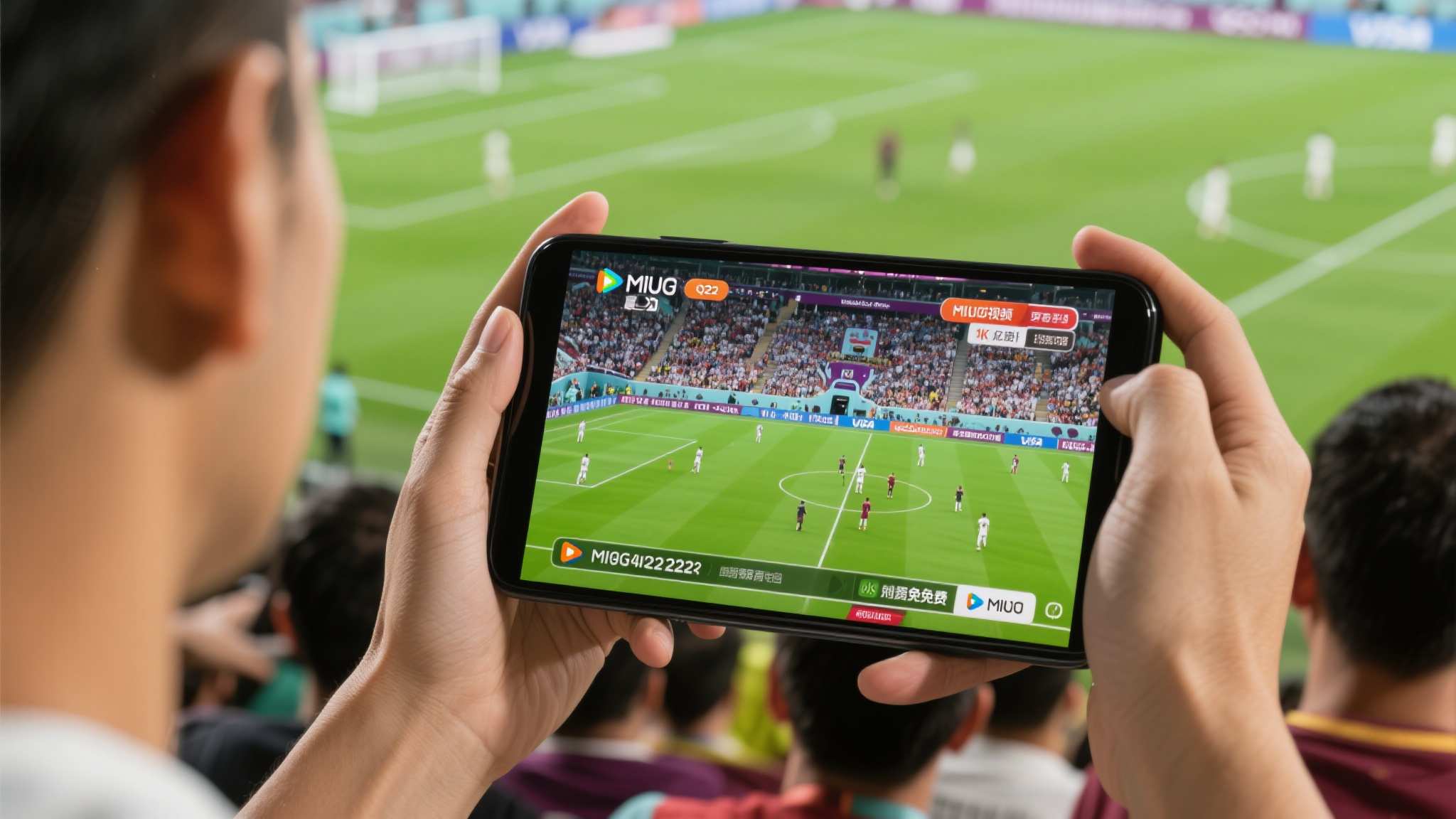 世界杯买球概况简介